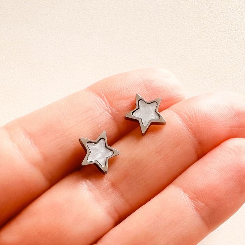 Brinco Aço Prateado Resina Estrela