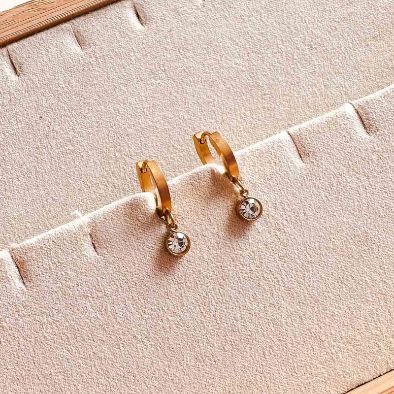Brinco Argola Aço Com Strass
