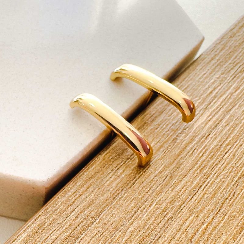 Brinco Earhook Bijuteria
