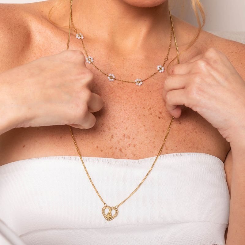 Colar Escapulário Aço Coração Nossa Senhora